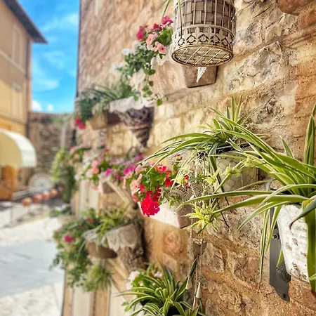 Apartment Spello House Dormio *